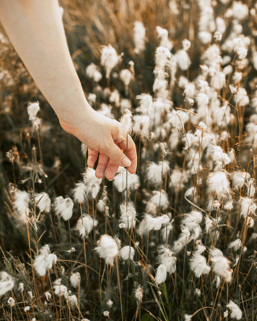 The Benefits of Organic Cotton: Insights from Dr. Anne Henderson