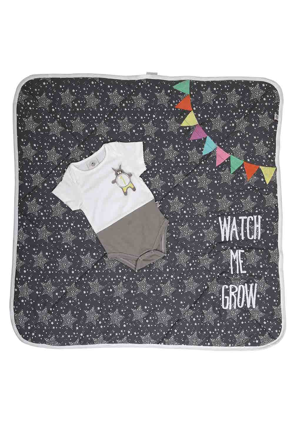 boys milestone set-2