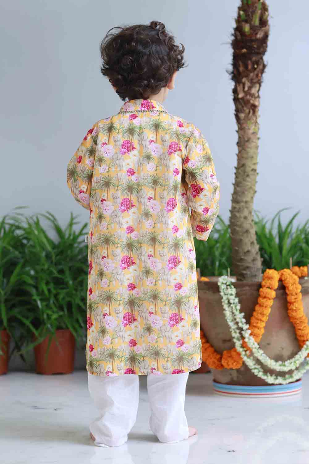 Elephant print kurta set for infant boys