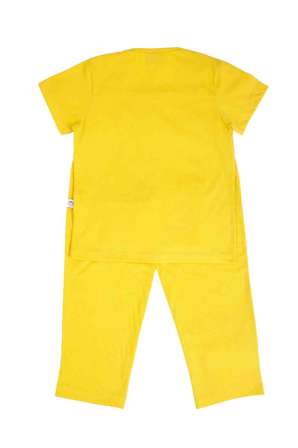 Fluffy embroidered teddy nightsuit