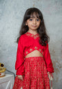 Ruby Stylish crop top with tiered lehnga for girls