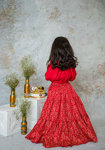 Ruby Stylish crop top with tiered lehnga for girls