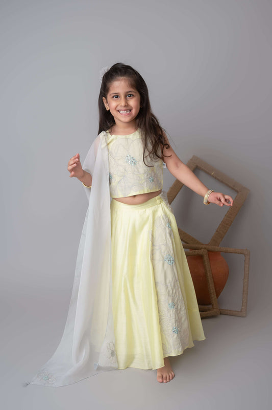 Lemon floral applique lehnga set