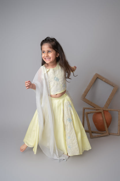 Lemon floral applique lehnga set