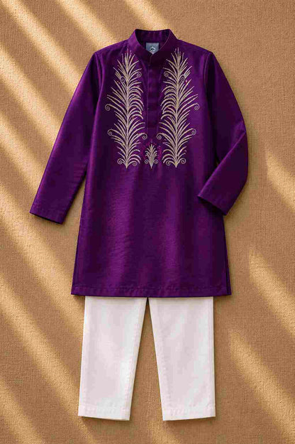 Purple Embroidered kurta Set for boys