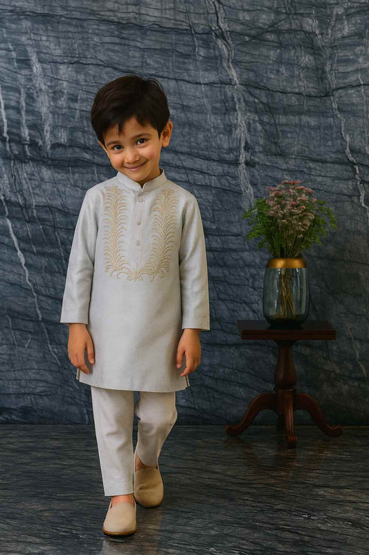 Constellation embroidered tissue kurta set