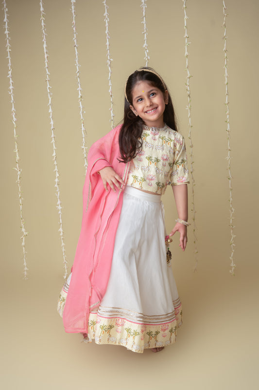 Traditional pichwai printed lehnga set
