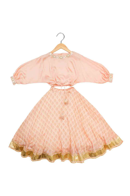 Mirror embroidered printed lehnga set for girls