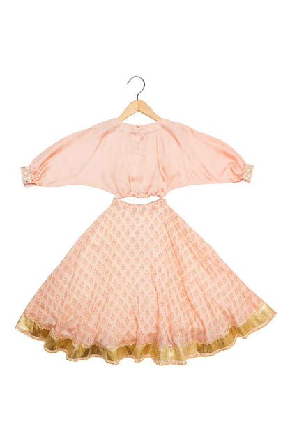 Mirror embroidered printed lehnga set for girls
