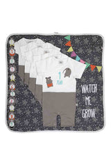 Milestone set to capture baby's first year- baby boy