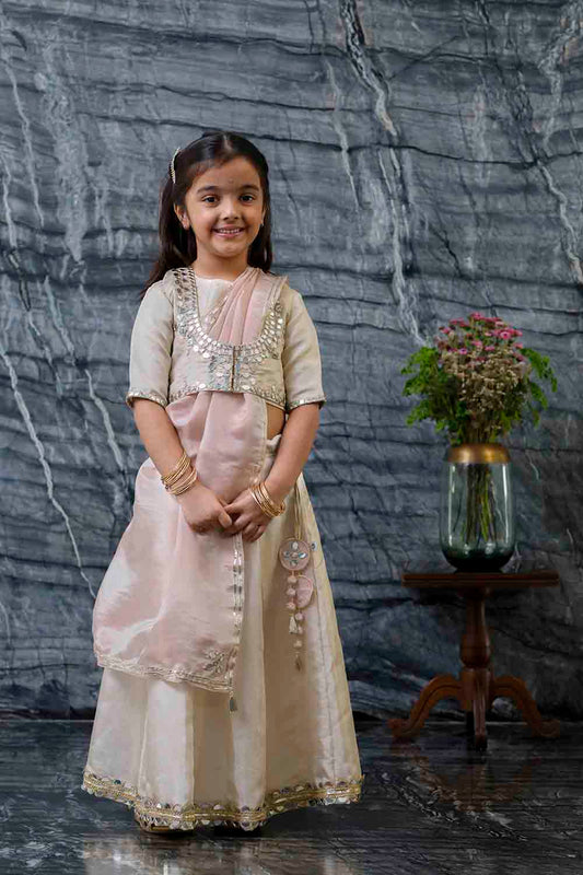 Mirror embroidery tissue lehnga set