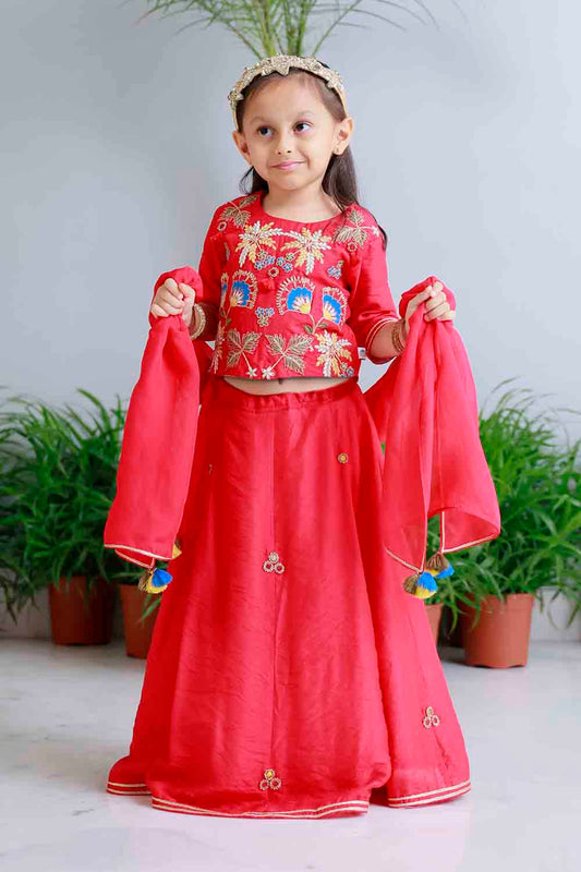 Red traditional embroidered lehnga set for infant girls