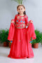 Red traditional embroidered lehnga set for infant girls