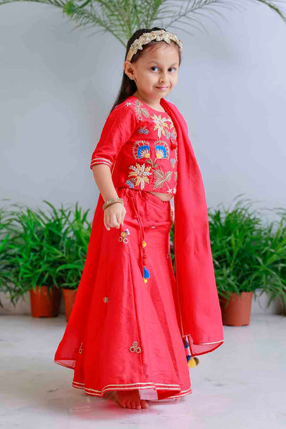 Red traditional embroidered lehnga set for infant girls