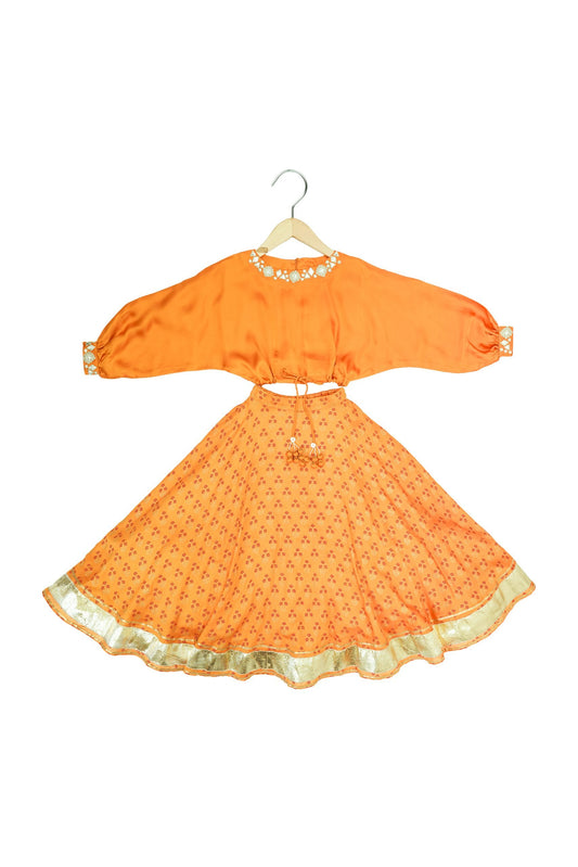 Mirror embroidered printed lehnga set for girls