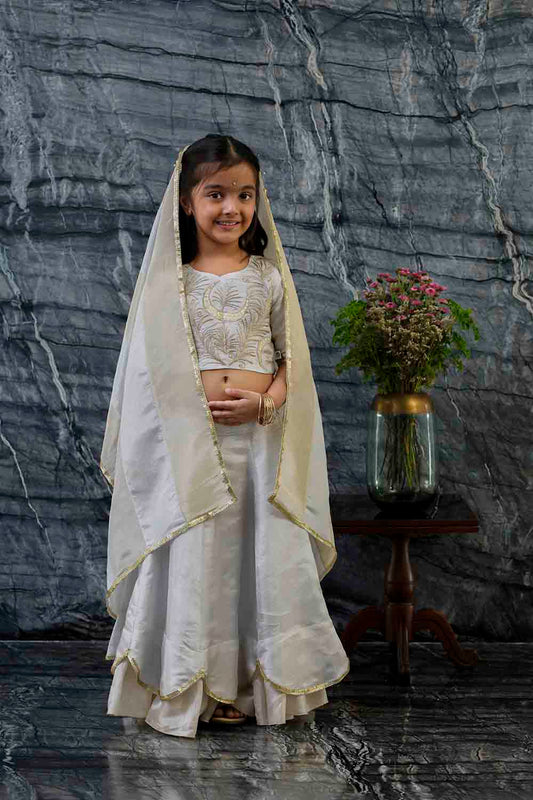 Constellation embroidered tissue lehnga set